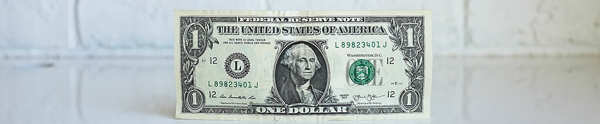 Dollar Banner